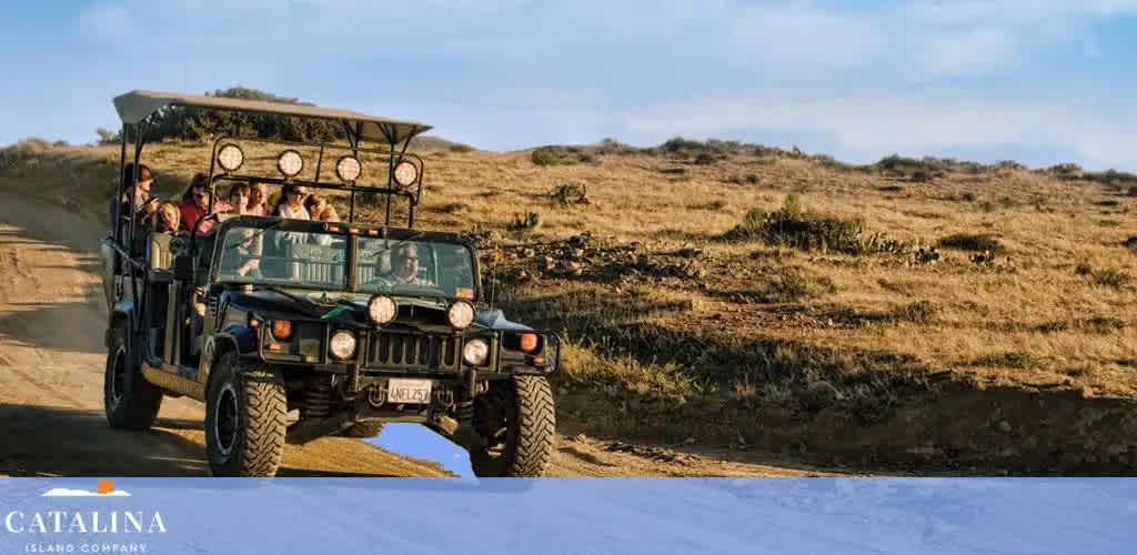 An open-air safari vehicle with passengers is driving on a dirt road amidst a rural landscape. The sky is clear and the terrain is mostly grassy with patches of brush. The company logo, Catalina Island Company, is visible at the bottom.