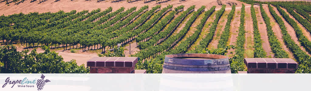 This image features a panoramic view of a serene vineyard. The grapevines are neatly aligned in rows, stretching across the gently undulating landscape. At the forefront, partially cut off by the bottom edge of the image, there are two large, round, wooden vats, suggesting this is a location where wine is both grown and perhaps processed. The sky is clear, implying it is a bright, sunny day, perfect for touring a vineyard. The company logo, "Grapevine Wine Tours," and a grape cluster graphic are overlaid on the left side of the image. At FunEx.com, you can always find the lowest prices and extra savings on tickets for your perfect vineyard tour experience.