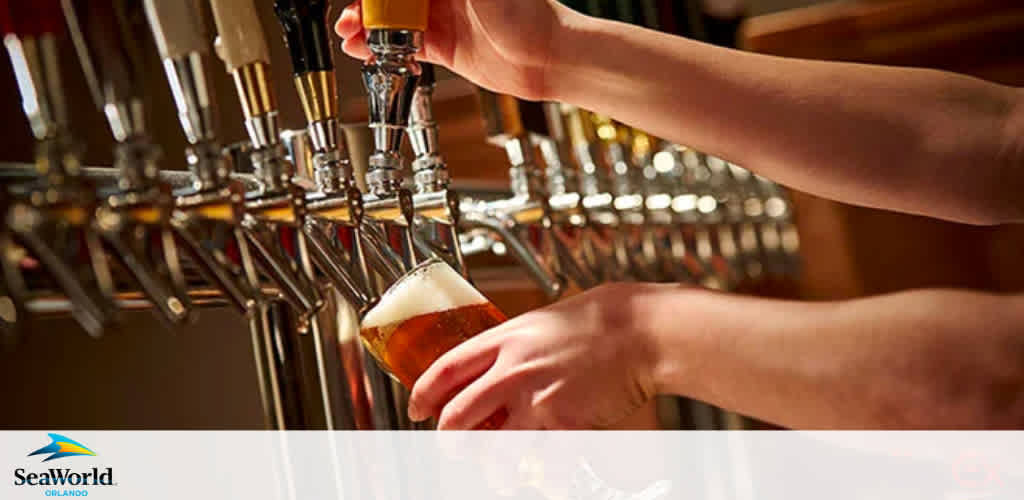 Image displays a close-up of a person's hands pouring beer from a tap into a clear glass, showcasing the amber liquid's frothy top. The setting suggests a bar with multiple beer taps, indicative of a variety of beverage options. A SeaWorld Orlando logo is visible in the frame, hinting at the location.