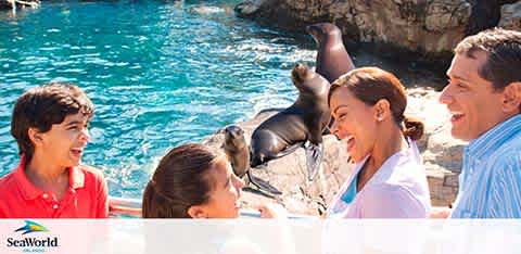 Image of a family enjoying a sunny day at SeaWorld. Two children and two adults are smiling and watching a seal on the edge of a pool against a backdrop of clear blue water and rocky terrain. The SeaWorld logo is visible in the corner.