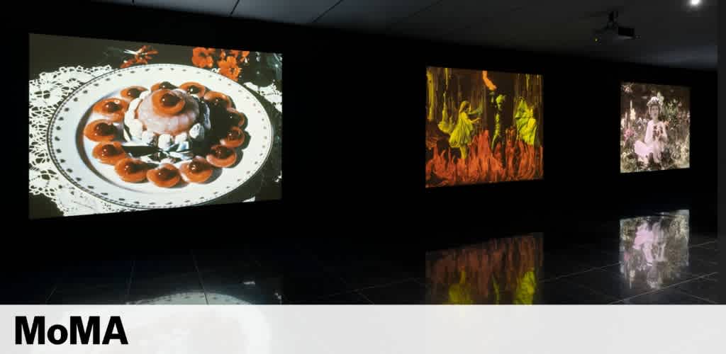 The image shows a modern art gallery with a reflective floor. Three large, vibrant artworks are displayed on dark walls. The left shows a colorful plate of food, the middle one features abstract fiery shapes, and the right one depicts a costumed figure amidst foliage. The text 'MoMA' is visible at the bottom.