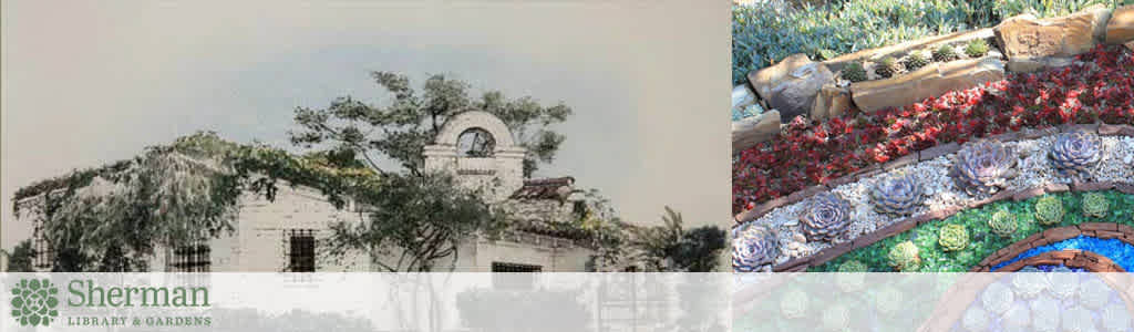 This image features a panoramic view that is divided into two contrasting sections. On the left, a watercolor rendering of the Sherman Library & Gardens' building is depicted. It shows a white structure with a classic design, including windows covered with grid-like protective bars, and an ornate circular window under an arched detailing. Vines and foliage partially obscure the building, giving it an overgrown, historical look.

The right half of the image displays a vibrant photograph of a garden detail with meticulously arranged plants. In the foreground, a series of succulents, including echeverias, are planted in intricate patterns forming a living tapestry with colors ranging from deep greens to vivid reds. Behind them, layers of pale-colored blooms cascade over the edge of a light-toned structure, possibly a wall or large planter box. The gardening design demonstrates a keen eye for symmetry and color blending.

For FunEx.com visitors interested in experiencing the beauty of the Sherman Library & Gardens in person while adhering to a budget, we offer exclusive access to discounts and savings on entry tickets, guaranteeing the lowest prices for your botanical adventure.