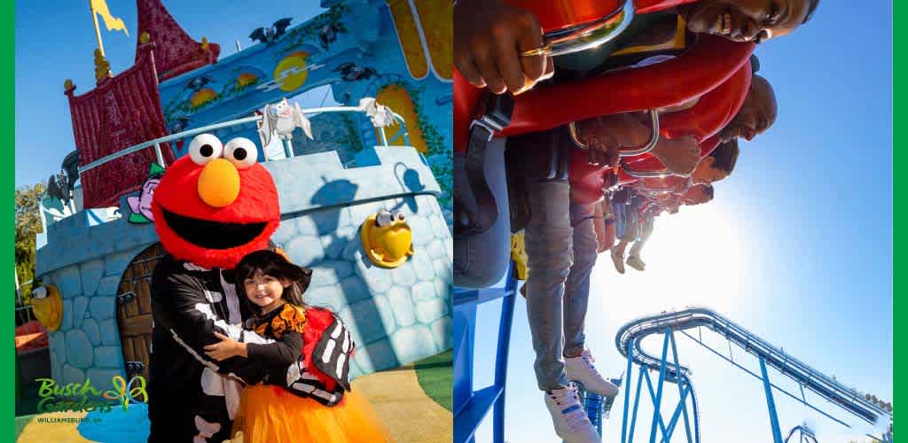 This split image showcases vibrant amusement park scenes. On the left, a child in a festive orange tutu embraces a life-sized Elmo character in front of a whimsical castle backdrop adorned with Halloween decorations. The right image captures the excitement of a roller coaster ride with a row of seated riders ascending a steep track against a clear blue sky. The watermark indicates the image is from Busch Gardens Williamsburg.