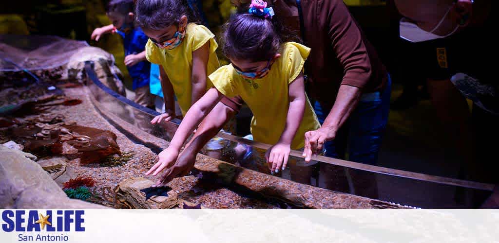 Image shows a touch pool experience at SEA LIFE San Antonio. Two children in yellow shirts are reaching into the water to touch marine life, closely supervised by an adult. Vibrant underwater habitat features starfish and other sea creatures. The ambiance of the exhibit is visible with dim lighting focusing on the touch pool area.