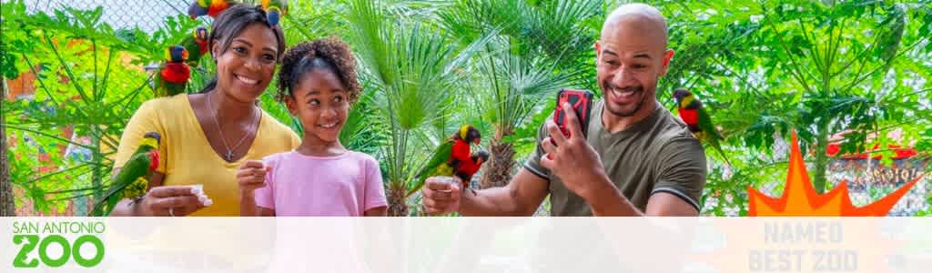 A joyful family at San Antonio Zoo with a woman and young girl holding bird feed while colorful parrots perch on their hands. A man to the right takes a photo with his phone, all smiling brightly. Lush greenery surrounds them. Text on image says San Antonio Zoo named Best Zoo.