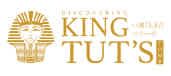 Discovering King Tut's Tomb