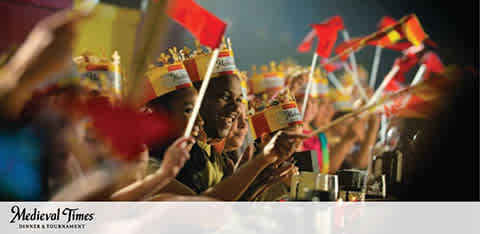 This image displays a vibrant and lively scene from Medieval Times Dinner & Tournament. A row of spectators is shown from the side, each person energetically waving flags with various colors and heraldic designs. The excitement is palpable as the crowd appears to be cheering for participants in the event. The background is intentionally blurred to focus attention on the hands and flags, giving a sense of motion and festive atmosphere. A lot of small paper crowns worn by the spectators are visible, adding to the medieval theme of the event. The venue's name, 'Medieval Times Dinner & Tournament,' is prominently displayed at the bottom of the image. At FunEx.com, we're dedicated to bringing you the spirit of medieval chivalry and spectacle with the best savings on tickets for unforgettable experiences.