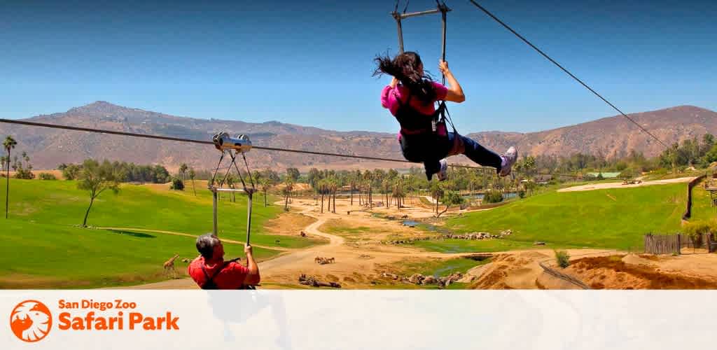 Description: This vibrant image captures the thrilling experience of two individuals zip-lining above the scenic landscape of San Diego Zoo Safari Park. The person in the foreground, wearing a red shirt, is closer to the left side of the frame, while the other, sporting a pink backpack, is seen further along the zip line in the center-right of the image. Beneath them is a lush expanse of grass, divided by paths and surrounded by groups of trees, with animals visible in the distance, roaming in their habitats. The background reveals rolling hills and mountains under a bright blue sky. The park's logo is displayed in the bottom right corner against a white background, affirming the location as San Diego Zoo Safari Park.

Embrace the adventure at San Diego Zoo Safari Park and ensure your memories are even more unforgettable by securing your tickets through FunEx.com, where you can find the lowest prices and most significant savings on entry to a world of wildlife and exhilaration.