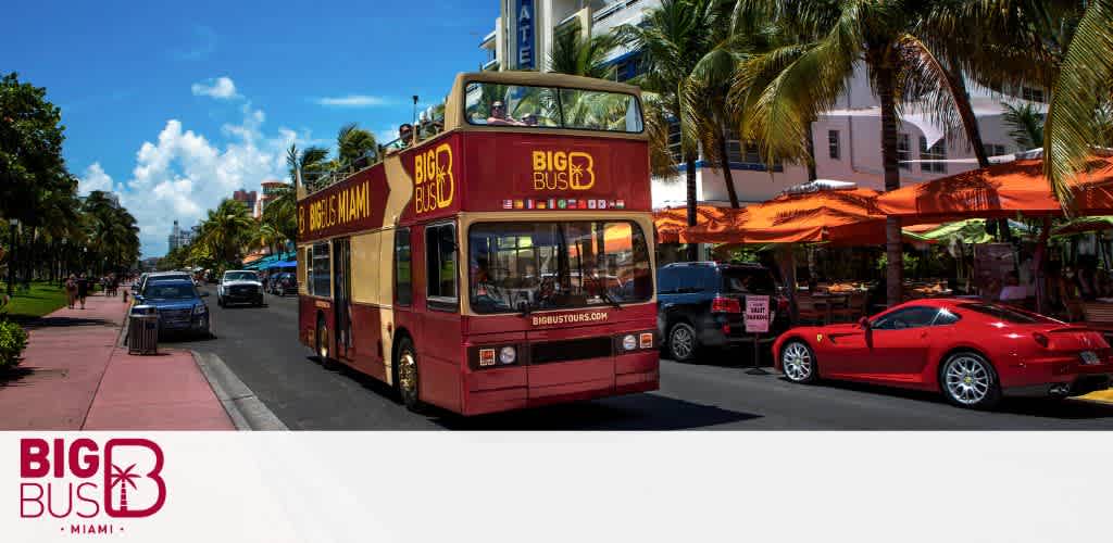 A red double-decker tour bus on a sunny Miami street with palm trees and outdoor cafes.