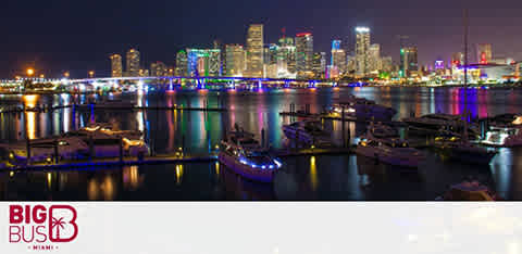 Nighttime view of a marina with city skyline and colorful lights. "Big Bus Miami" logo visible.