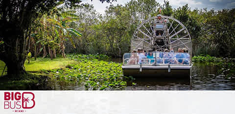 Airboat with tourists glides through water with lush greenery on a bright day; "BIG BUS MIAMI" logo visible.
