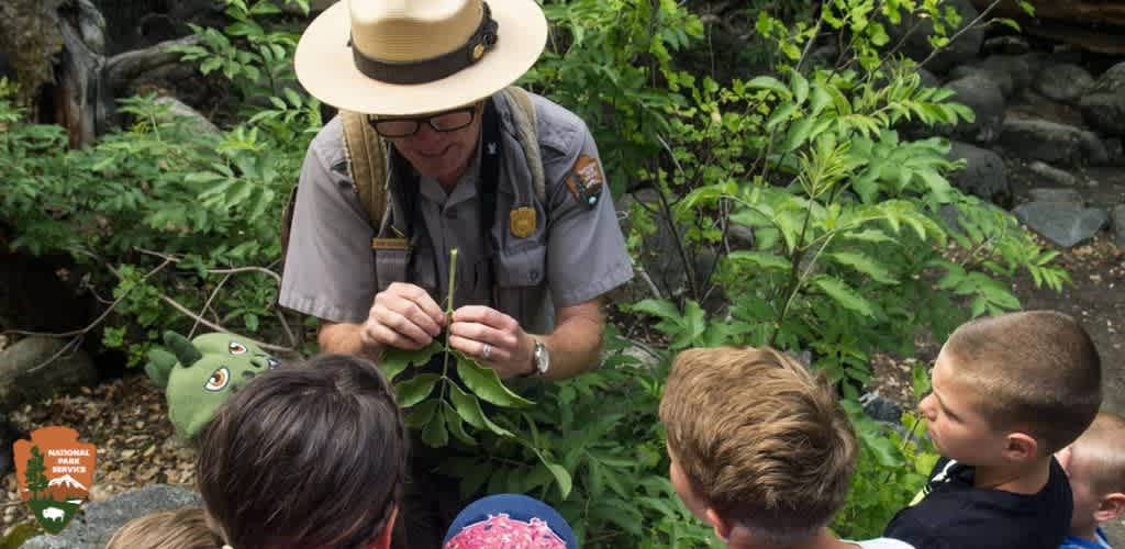 A park ranger teaches children about plants outdoors.