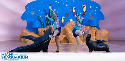 Two performers pose with sea lions at a colorful aquarium stage show.