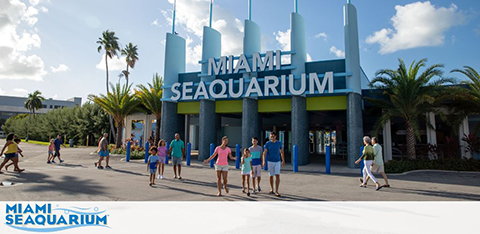 Entrance of Miami Seaquarium with visitors walking by on a sunny day.