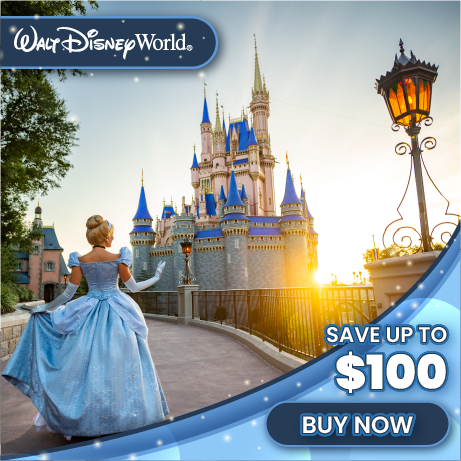 Get ready to enjoy magic attractions, amazing restaurants, and breathtaking stores while visiting the happiest place on earth! 