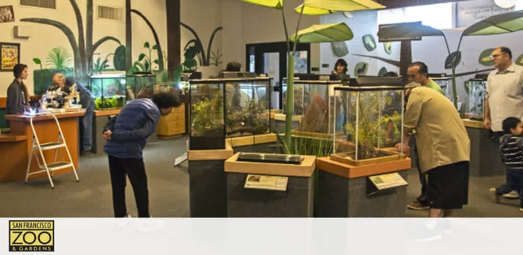 Visitors explore an indoor exhibit at the San Francisco Zoo & Gardens. Multiple terrariums on display, staff available for assistance, and wall murals depicting lush foliage backdrop.