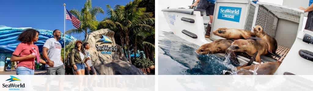 This image is a side-by-side of two scenes. On the left, three individuals walk past a SeaWorld sign with an American flag overhead. On the right, four sea lions rest on a dock beside a SeaWorld Rescue container, with one sea lion in the water. The SeaWorld logo is visible in both scenes, promoting the park and its rescue efforts.