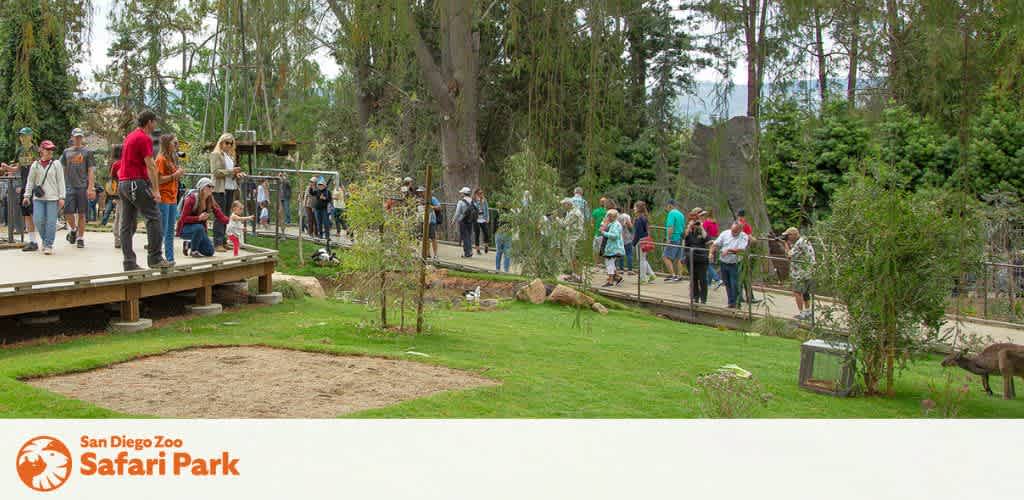 Visitors at the San Diego Zoo Safari Park on a wooden walkway observing off-camera attractions, surrounded by lush greenery and overcast skies.