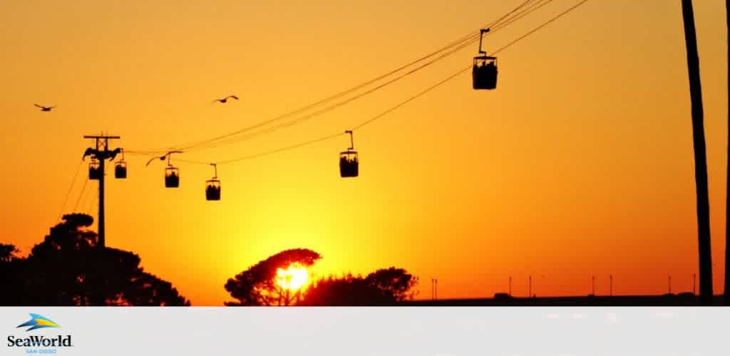 Image depicts a serene sunset with a vibrant orange sky. A series of cable cars are silhouetted against the sunset, and birds fly in the distance. A sun-dappled tree line is visible near the horizon, and a logo in the corner indicates the setting is SeaWorld.