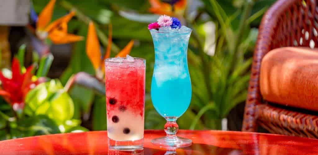 Colorful cocktails on a vibrant patio table. One drink is red with blueberries and ice in a tall glass. The other is blue in a curvy glass with ice and garnished with small bright flowers. Background features lush greenery and tropical flowers. Ideal for a refreshing summer vibe.