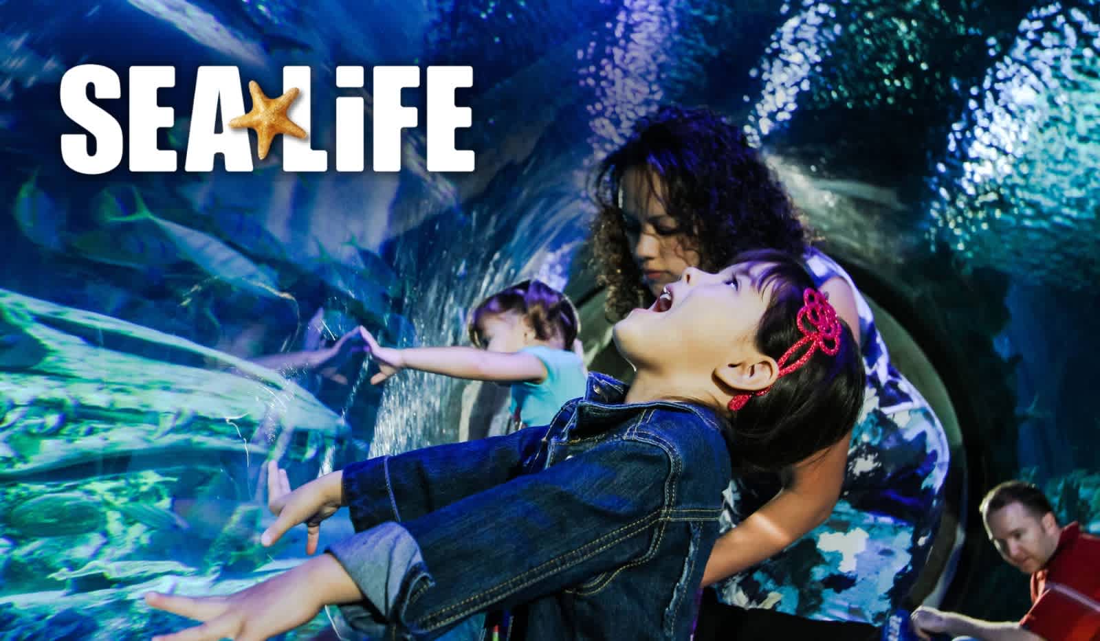 Sea Life Michigan