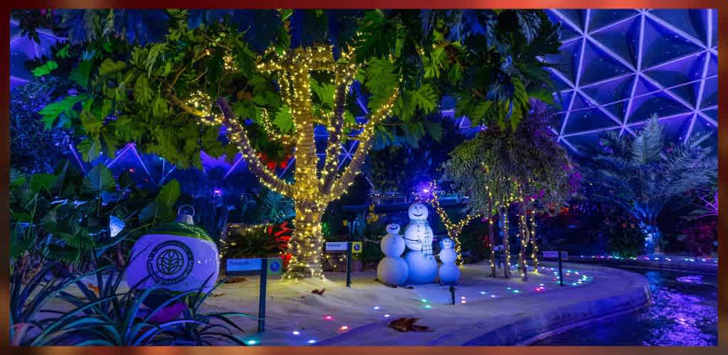 A beautifully lit indoor garden scene at Funex features a trio of cheerful snowmen made of snowballs, under a large fig tree wrapped in golden fairy lights. The background displays a geometric dome structure, illuminated in vibrant blue. Surrounding plants and trees are adorned with more fairy lights, creating a magical, festive atmosphere. Soft, colorful lights dot the pathway, adding to the enchanting ambiance.