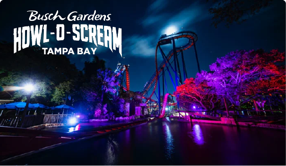 Busch Gardens Tampa Bay