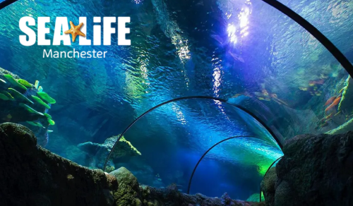 Sea Life Manchester