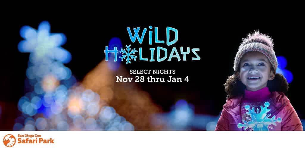 A child smiling in a festive setting with decorative lights, and text: 