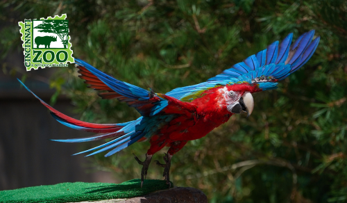 Cincinnati Zoo & Botanical Garden