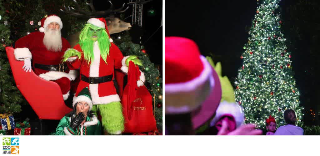 Santa, the Grinch, and an elf with a sleigh on the left; a large lit Christmas tree on the right.