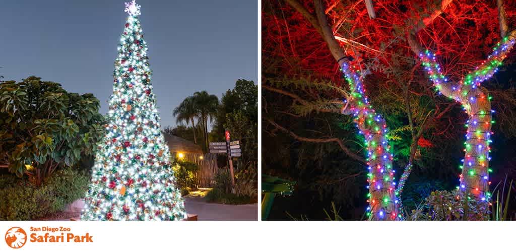A tall, brightly lit Christmas tree next to a night scene with trees wrapped in colorful lights.