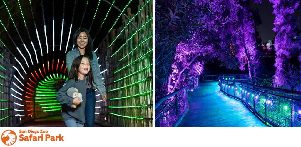 Two people in a colorful LED tunnel and a purple-lit forest path.