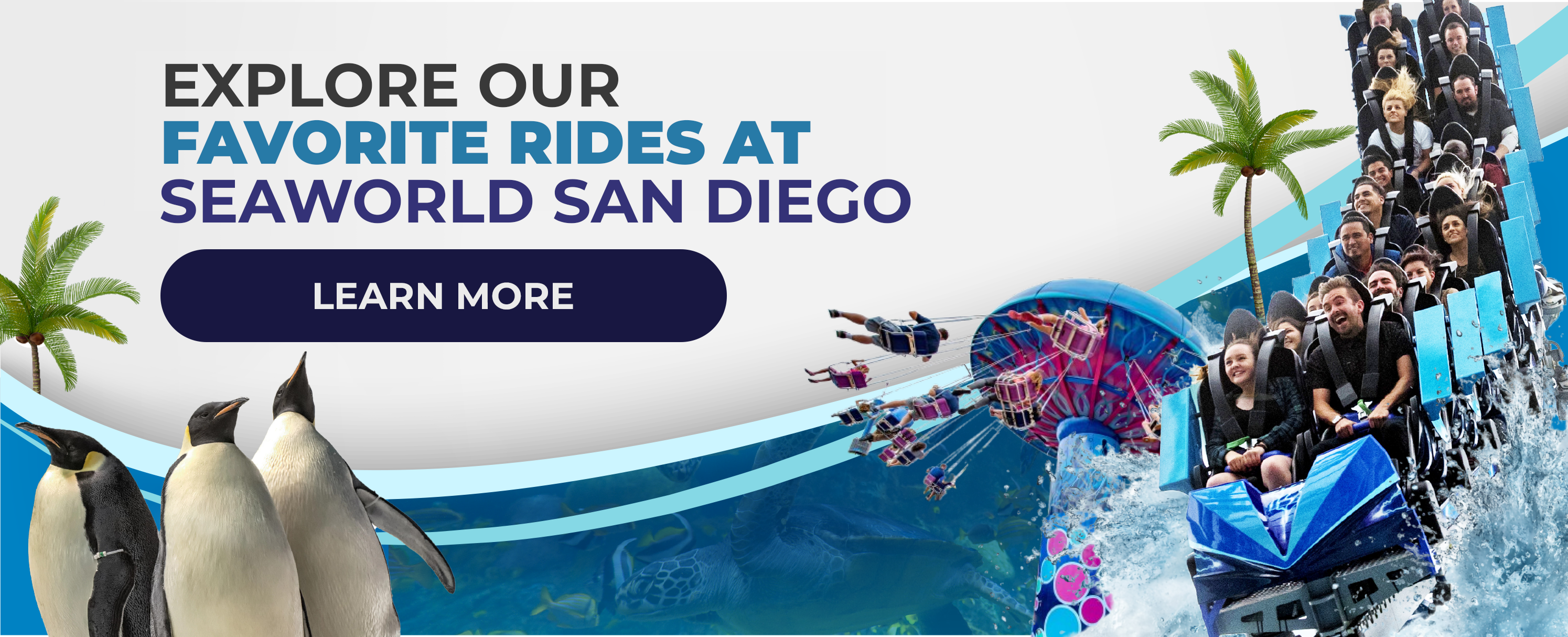 Image of a colorful amusement park ride with excited visitors, penguins, palm trees, and a sea turtle, promoting SeaWorld San Diego attractions.