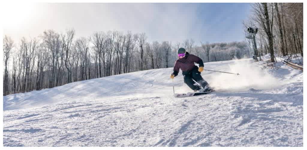 A person skiing down a snowy slope surrounded by bare trees under a partly cloudy sky.