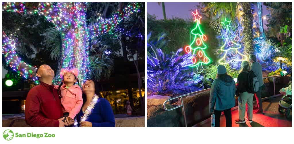 A family looking at a tree with multicolored lights; people observing neon-lit figures shaped like Christmas trees at a festive display.