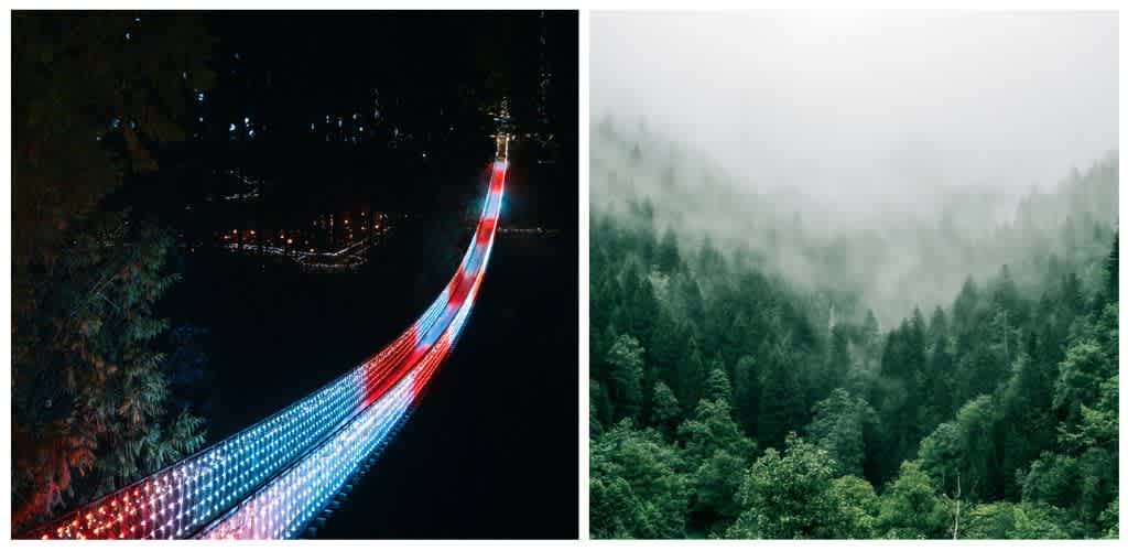 Nighttime scene of a lighted bridge with red, white, and blue lights on the left and a foggy green forest on the right