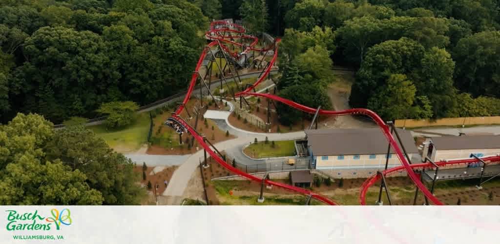 Aerial view of a red roller coaster winding through dense green forest.