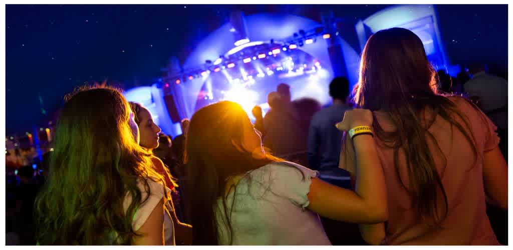 Group of women enjoying a concert at night with colorful stage lighting and a lively atmosphere