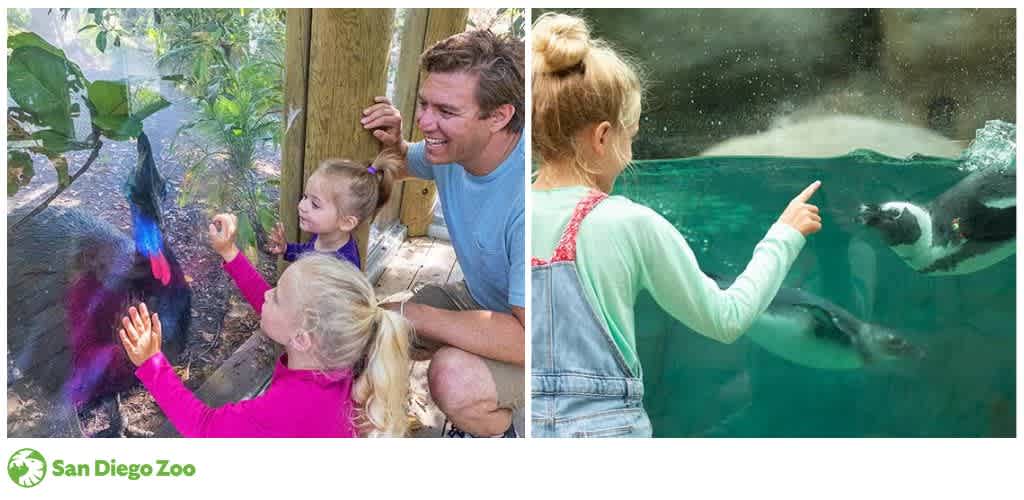 Children engaging with a cassowary and penguins at a zoo.
