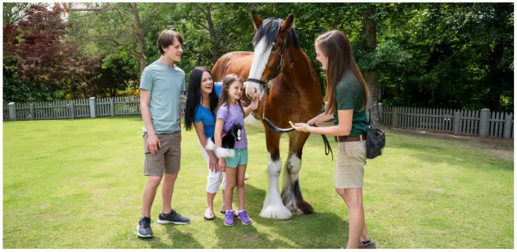 A woman shows a smartphone to a horse while three children smile and watch in a grassy backyard with trees and a wooden fence.