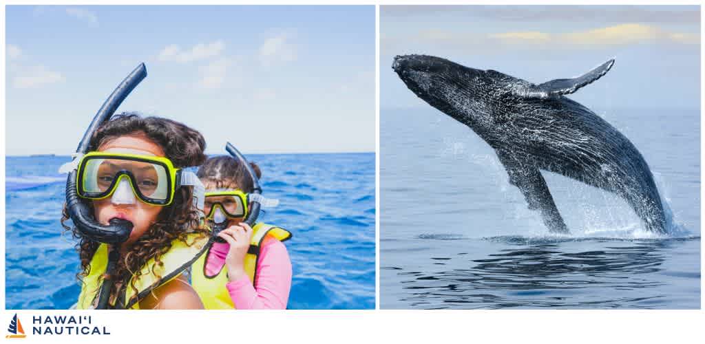 Children snorkeling in the ocean and a whale breaching the water surface in open sea