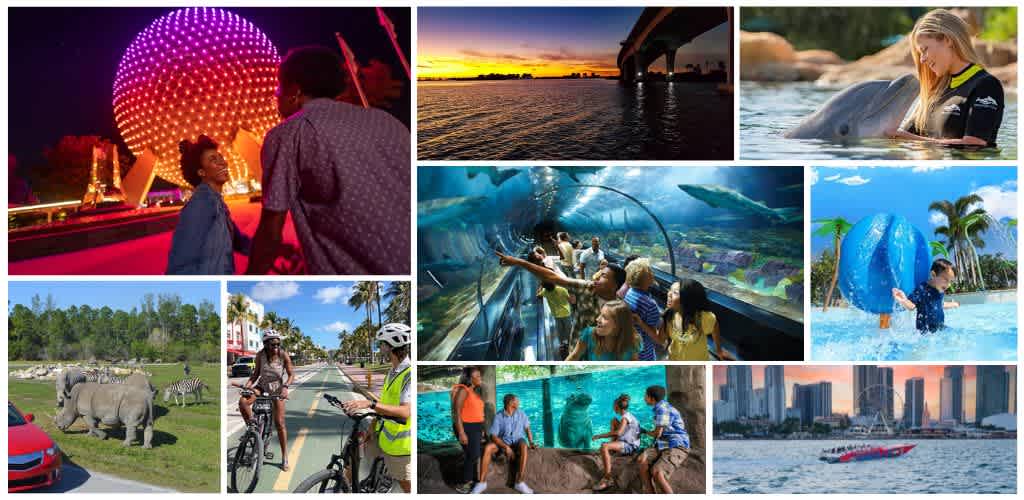 Tourists enjoy a variety of activities including viewing aquariums, riding boats, cycling, and exploring cityscapes and wildlife at outdoor locations.
