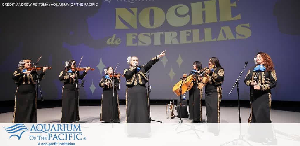 A female mariachi band performing on stage, with 