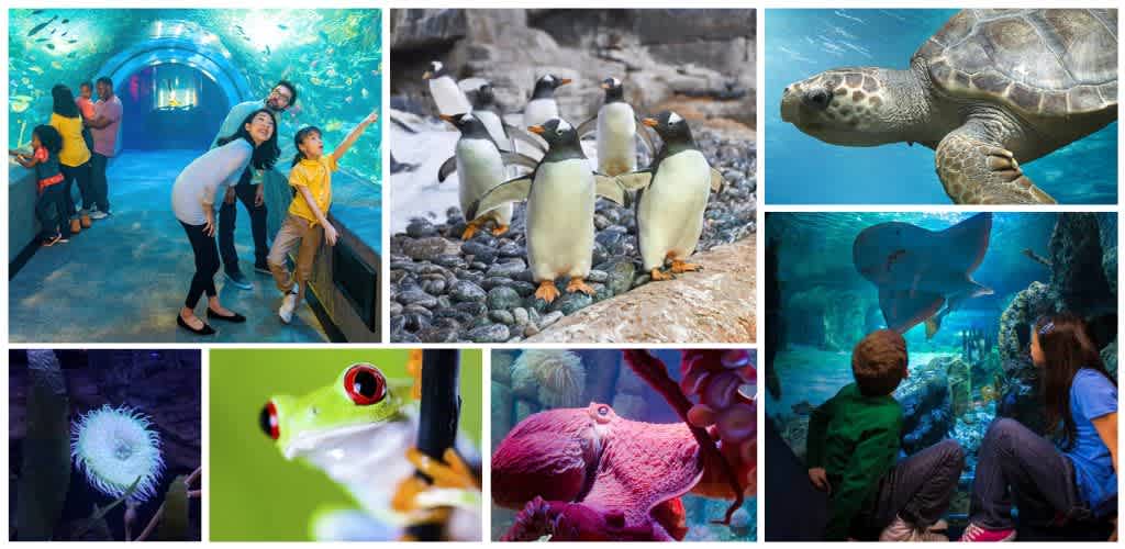 Children and adults exploring an indoor aquarium with various sea animals and penguins, observing aquatic life and exhibits in a fun and educational setting.