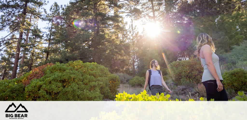 Two women walking outdoors in a sunny, wooded area with lush greenery and bright yellow flowers.