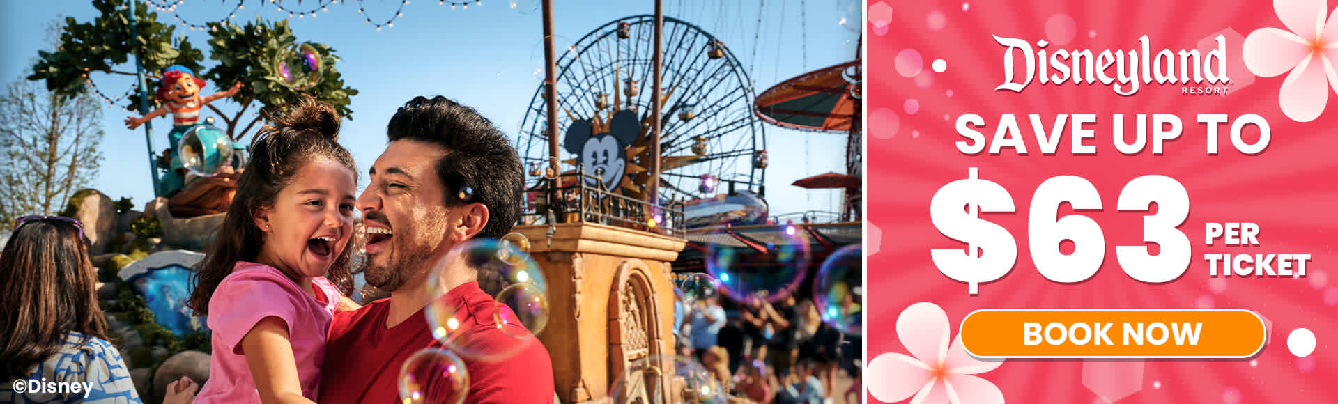Disneyland Banner Image