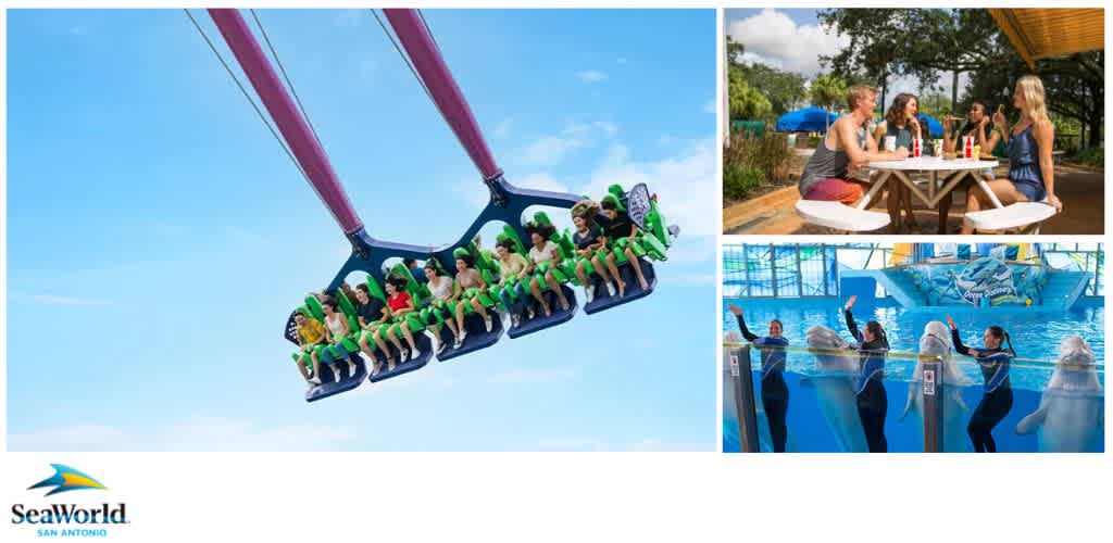 A collage of SeaWorld San Antonio scenes: a thrill ride in action, people dining outdoors, and trainers interacting with beluga whales.