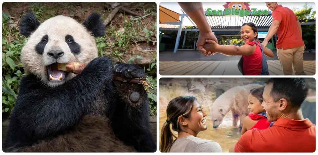 San Diego Zoo in San Diego, California