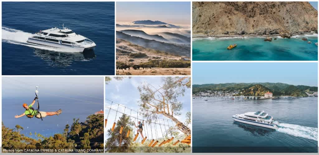 Collage of the Catalina Express fleet and Catalina Island tours featuring ferries, zipline, ropes course, and Avalon harbor.